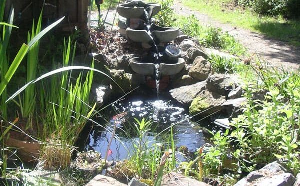 Laundry to Landscape: Your Homestead's Gray Wat...