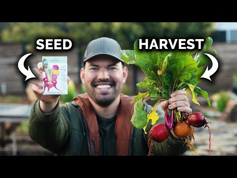 The Magic of Microgreens: Grow a Tiny, Mighty G...
