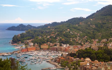 A picturesque view of the colorful buildings and harbor in Portofino