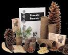 Seed Paper Ornaments: A Gift to Nature, a Gift...
