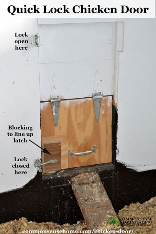 Nesting boxes inside the coop