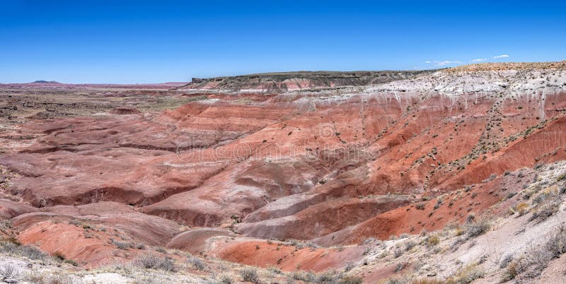 A panoramic view of the Painted Desert at sunrise displays layers of colorful rock formations, showcasing the diverse mineral deposits and the vastness of the landscape.