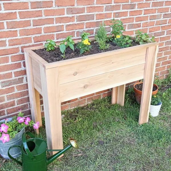 Example of a finished raised garden bed