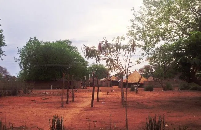 A guide in South Luangwa points out wildlife during a safari.