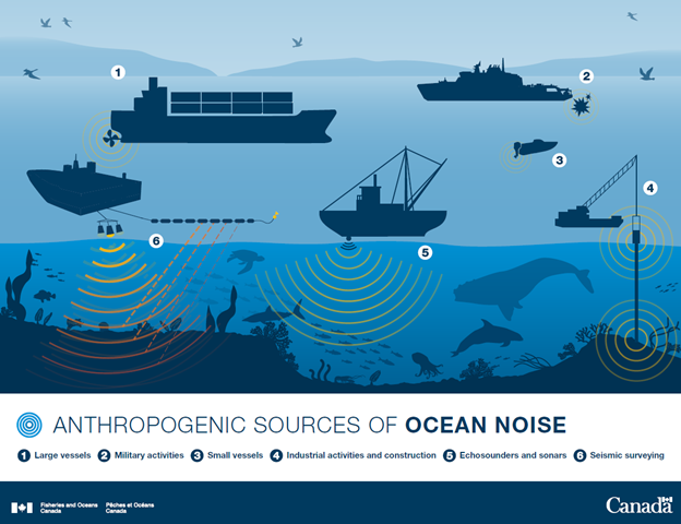 Dead Sea salt composition