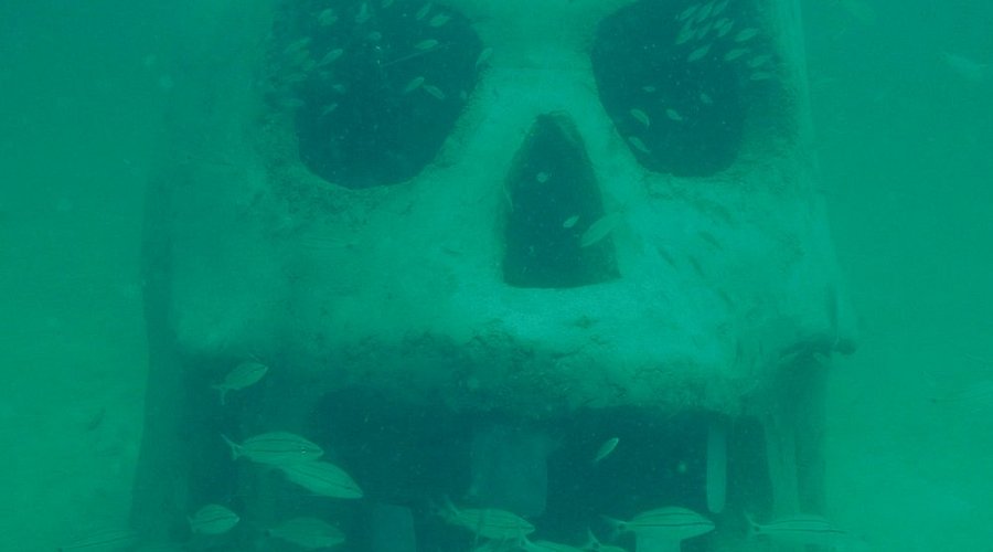 A variety of colorful fish and marine life swimming in a clear ocean setting, including a nurse shark.