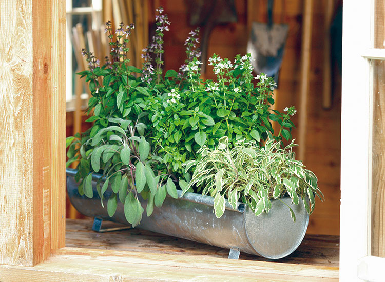 potting mix compost trowel container assortment