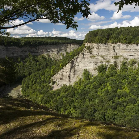 Ethan in Pikachu costume, ruining Olivia's wildlife shot
