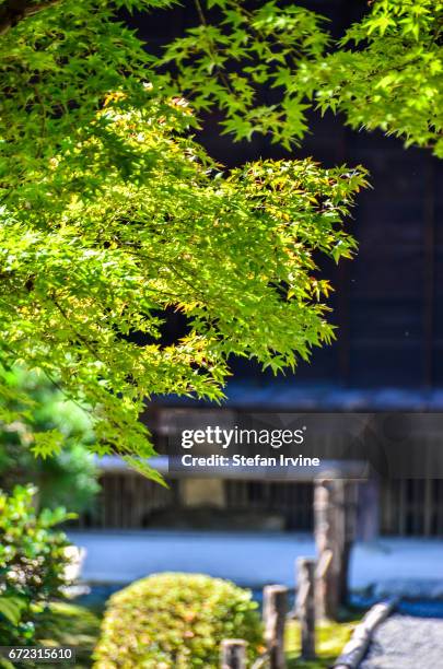 # Finding Tranquility in Kyoto's Gardens and Arts

Kyoto