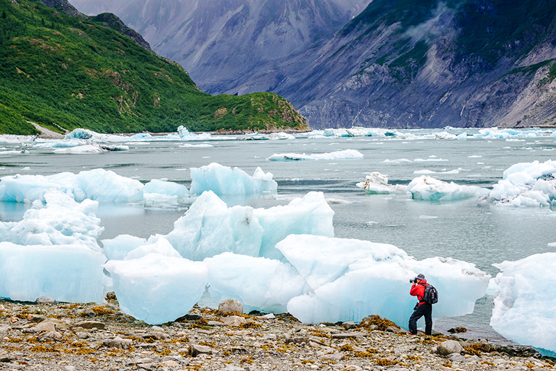 Humpback whale breaching against a backdrop of glaciers in Alaska