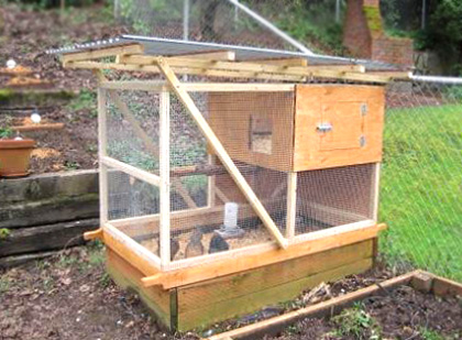 DIY mobile chicken coop with roost