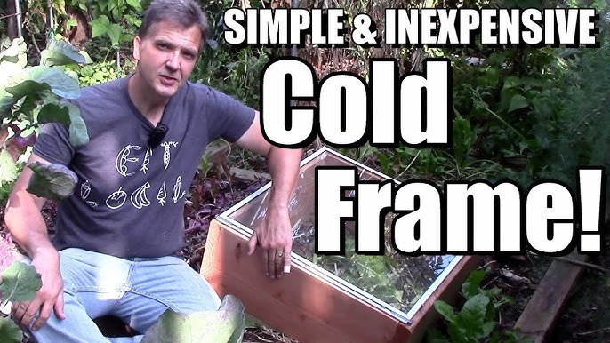 cold frame vegetable