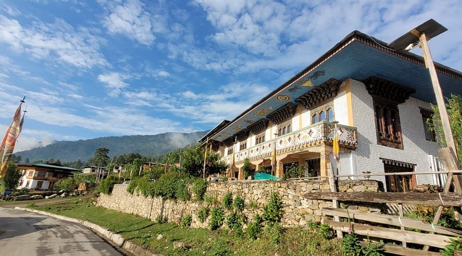 Prayer flags fluttering in the wind at Chele La Pass