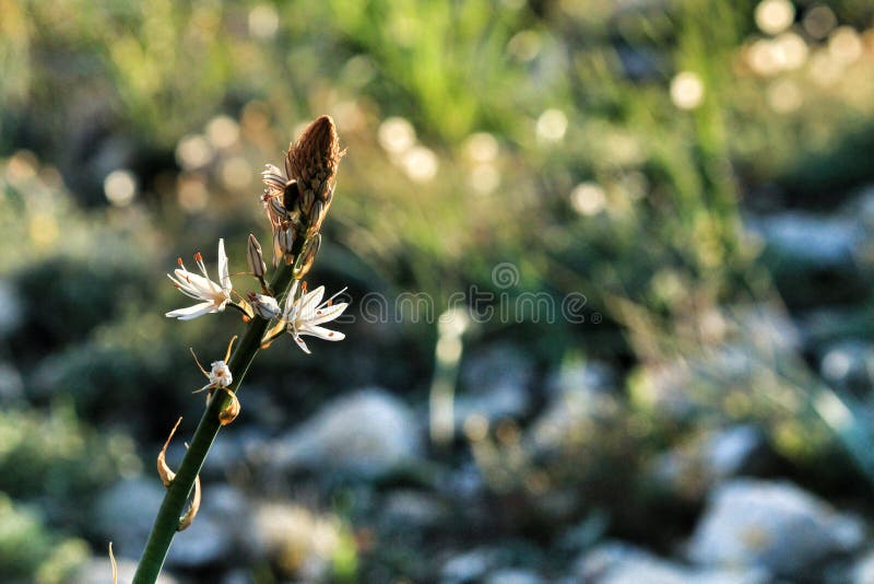 A panoramic view of the Murgia plateau, showing the vastness of the landscape.