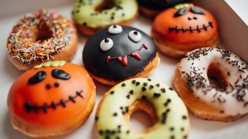 Succulent Aesthetic Examples