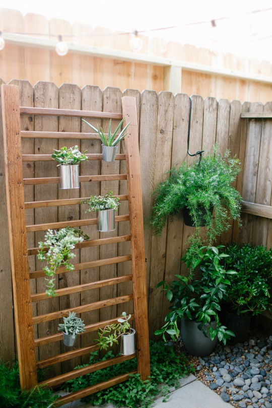 From Pallet to Plate: Building a DIY Vertical H...