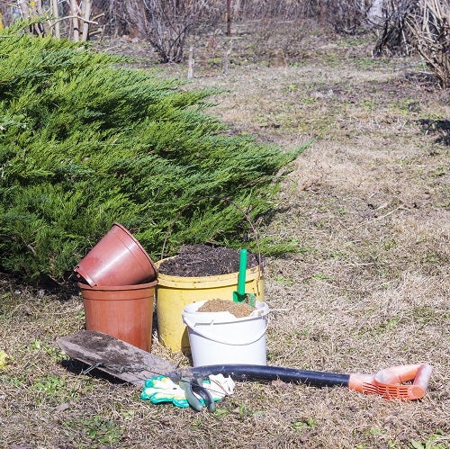 Start a spring garden
