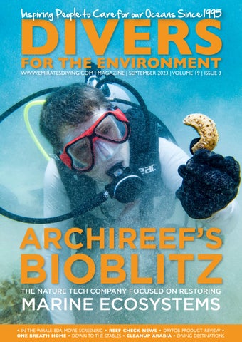 Before-and-after photos of coral reef restoration projects in the Maldives