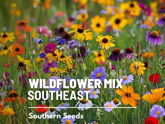 Seeds of Concern: Protecting Our Gardens from C...