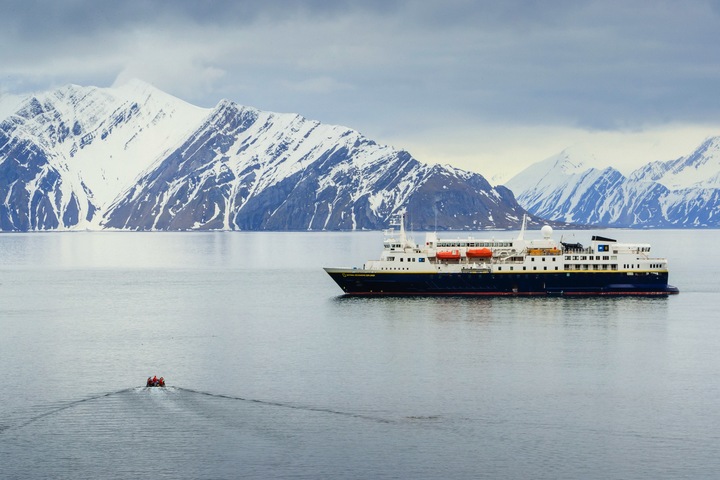 Divers tagging a hammerhead shark