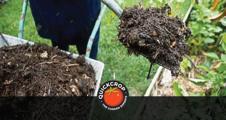 healthy soil worms visible compost