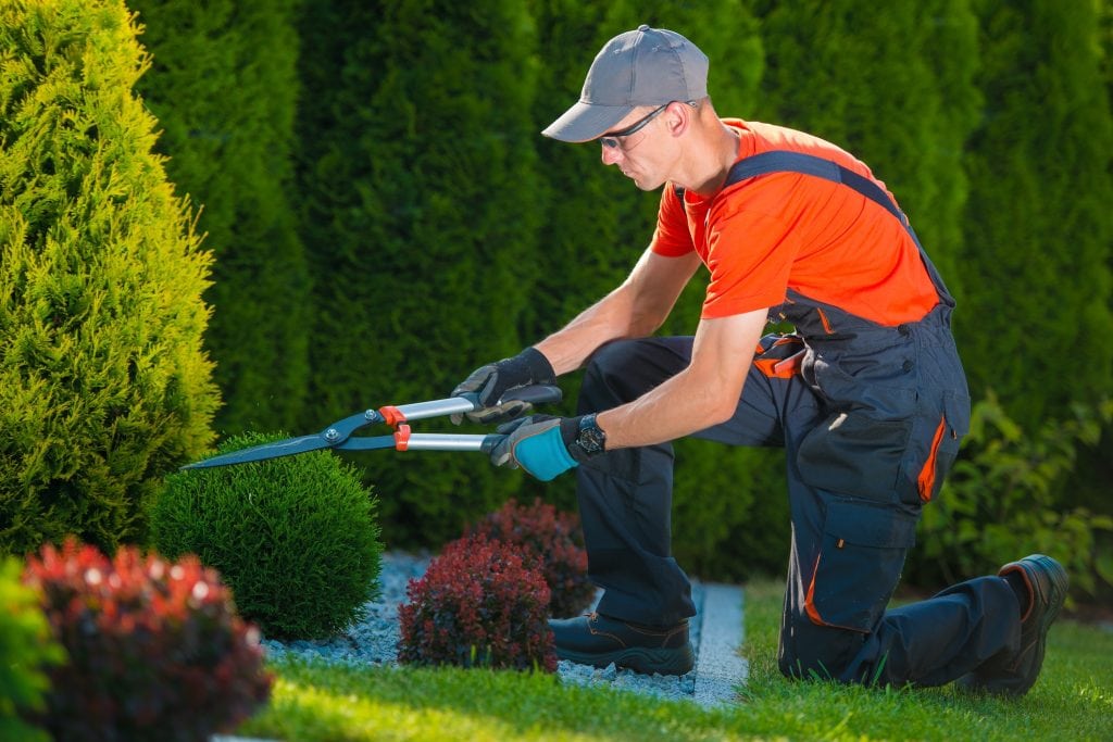 diy shallow dish water feature garden