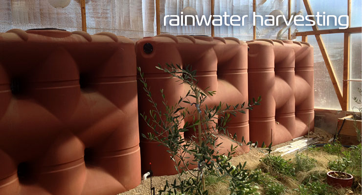 Surviving the Southwest: Homesteading with Rain...