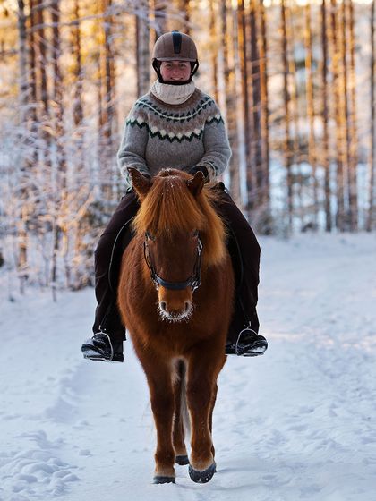 Ava Chen riding an Icelandic horse through a snow-covered valley near Deplar Farm, highlighting the horse's unique gait and the winter landscape.