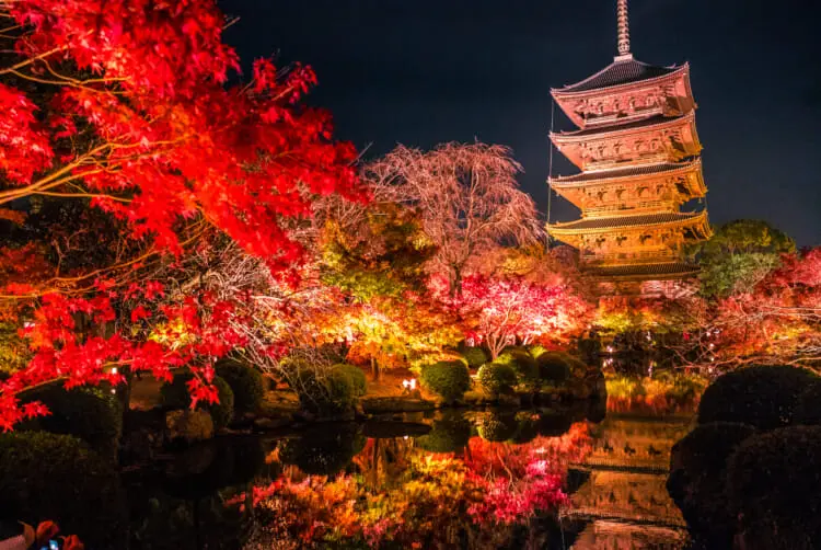 A wide shot of Kiyomizu-dera's wooden stage illuminated at night, with the reflected lights creating a mirror image in the pond. The composition uses the rule of thirds, placing the temple slightly off-center.