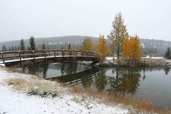 Lake Louise Reflections