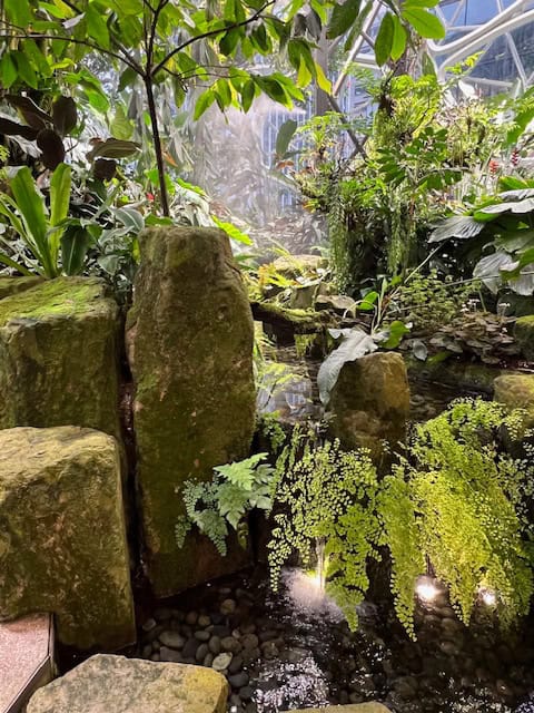 Boosting Biodiversity: Crafting Mini-Habitats f...