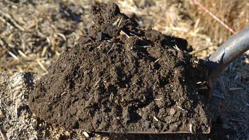 Gardener applying compost to vegetable garden bed