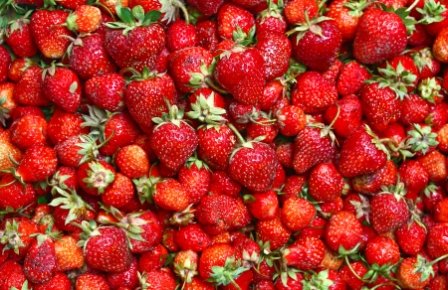 Basket fresh picked backyard berries fruit