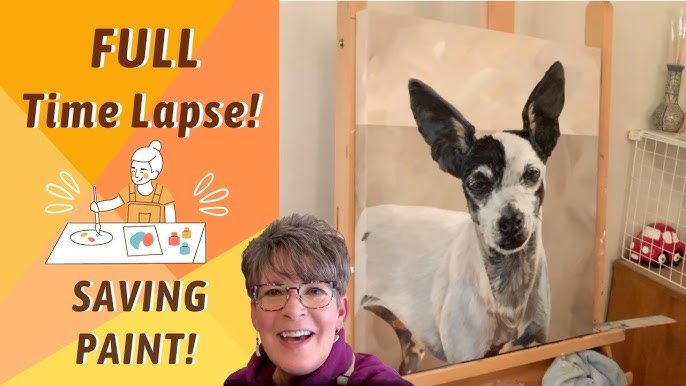 Pet products showcase