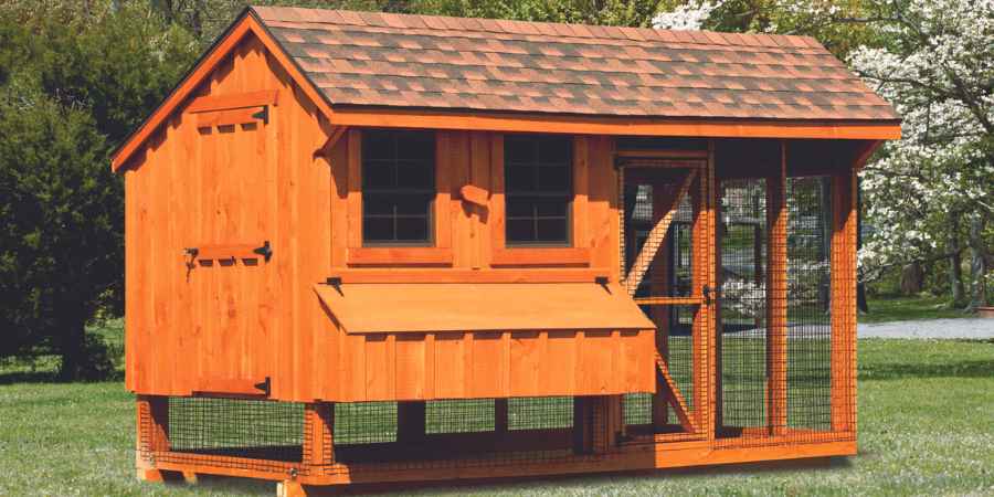 Image highlighting whether to buy or DIY a backyard chicken coop.