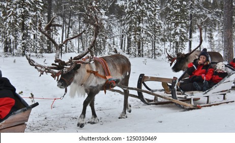 Action shot of reindeer racing across the snow: Spectators cheering, vibrant colors of the Sámi clothing visible