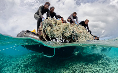 Volunteers helping penguins