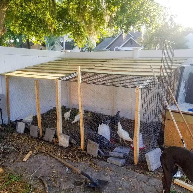 An earth-sheltered chicken coop blending into its surroundings.