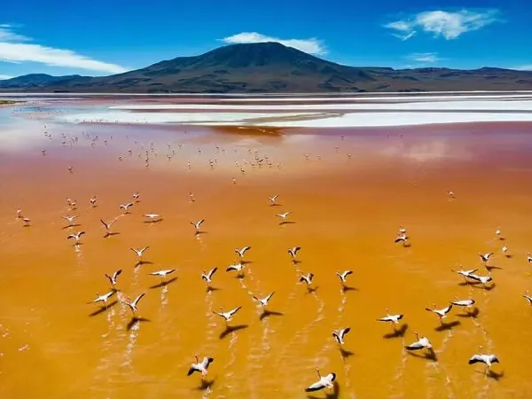 Arbol de Piedra (Stone Tree) in the Siloli Desert, Eduardo Avaroa National Reserve