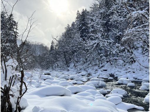 # Hokkaido Powder Dreams: Unforgettable Snow Adven...