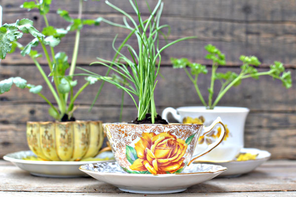 A Fall Herb Haven: Bringing the Garden Indoors...