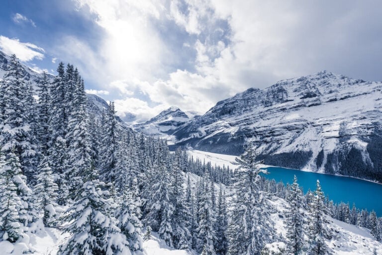 A snowshoer in Jasper National Park with mountains in the background