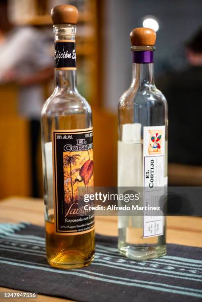 Mezcal El Cortijo Agave