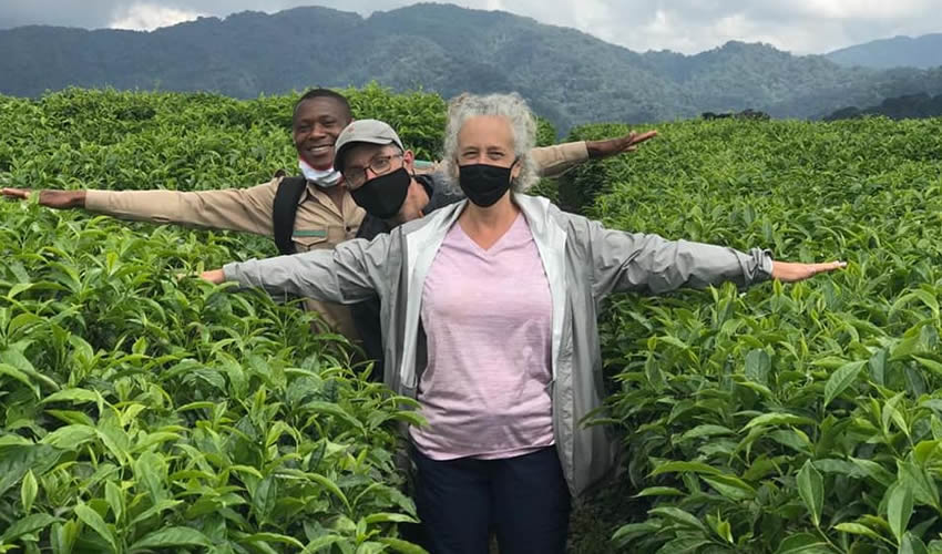 One&Only Nyungwe House exterior