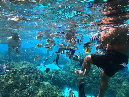 ## Bora Bora Beyond the Bungalows: An Eco-Luxe Esc...