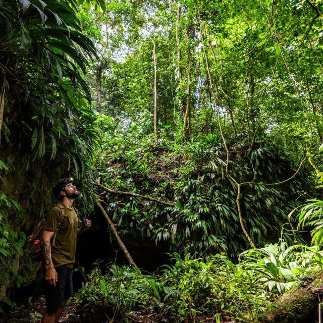 Millennium Cave Entrance