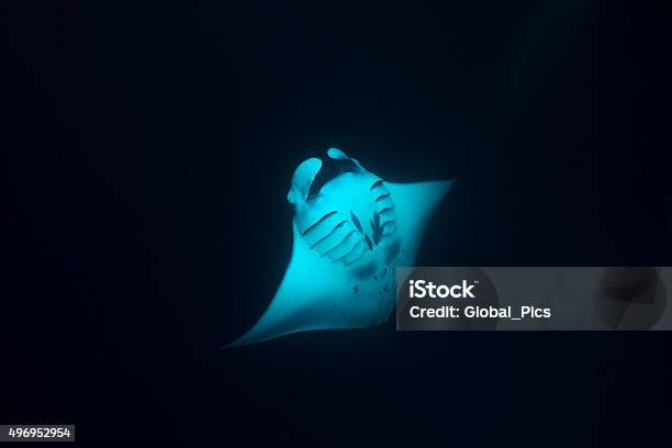 ## Palau: A Marine Photographer's Love Letter to a...