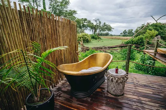 A vibrant Lilac-breasted Roller perched on a branch, its colorful plumage of lilac, turquoise, and rufous showcased in the bright African sunlight.
