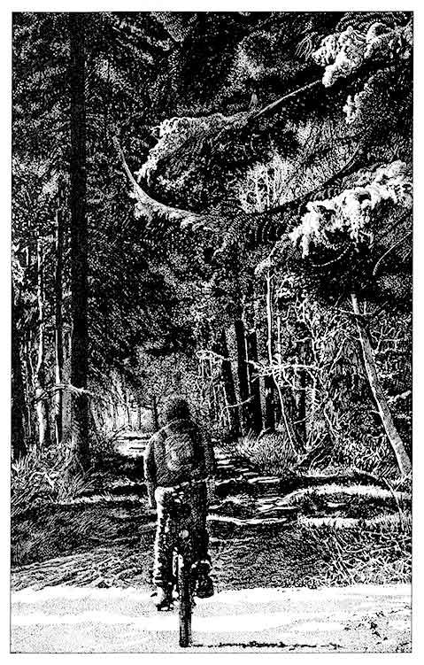 Unabomber: A Desire to Kill 3R, page 11