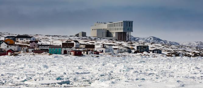 # Edible Edges: A Taste of Newfoundland's Wild Hea...